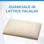 guanciale-talalay-definitivo